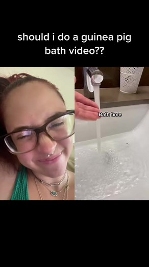 #duet with @rosiehappypig I need to give mine a bath so maybe I’ll do a full guinea pig routine #6814 | Erego Whale