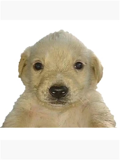 RULEADO777 on TikTok