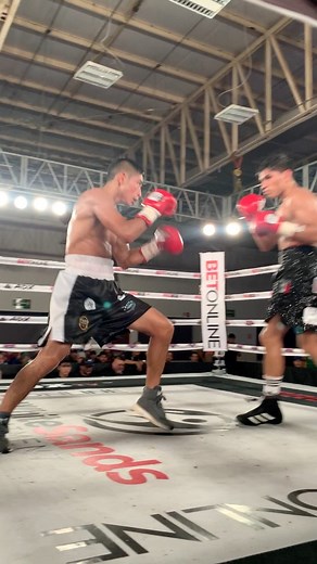 🔥🥊 #boxeo #box #contragolpe #rind #pelea | Grind Hard Promotions