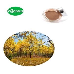[Hot Item] Healthy Supplement Pure High Grade Free Samples Handroanthus Impetiginosus Extract