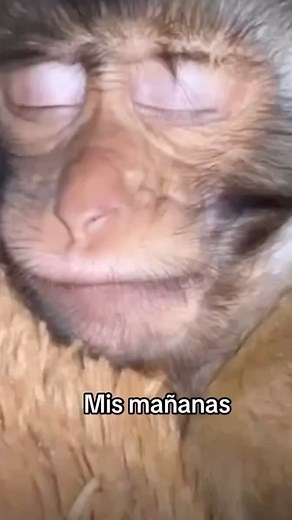 Pastor Carlos Ortiz on Reels