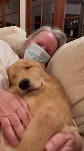 101K views · 10K reactions | Snuggling with Phyllis and Glenny is so much fun. We are the snuggle dogs! We love you! Love always, MM3 and Meadow with Phyllis and Glenny | Mayor Max | Facebook