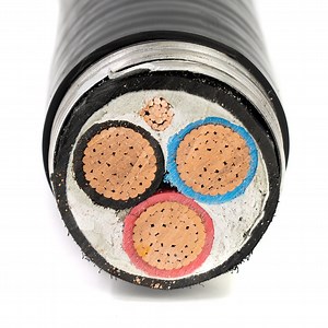 [Hot Item] cUL Certificate Multi-Conductor (1000V) Teck 90 Armoured Power Cable