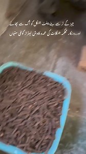 Wood pellets made by needles of Chir Pine, well-done entire staff of Forest Department this is actually innovation to generate revenue and reduce risk of forest fire. #NatureNews | Nature News Network