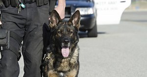Police Dog Brutality: K9 Attacks Wrong Guy - | BET AWARDS