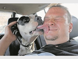 Kroeë uit vir Jock van die Hoëveld | Middelburg Observer