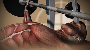 Science Explains What Happens to Your Body When You Start Strength Training