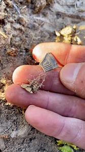 2.6K views · 45 reactions | Recently discovered this incredible silver pocket watch piece from the 1600s-1700s that was intentionally cut to make into jewelry! #metaldetecting #pocketwatch | Pondering the Past | Facebook