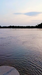 1.7K views · 115 reactions | Nazir Dahri Sindhi on Reels | Facebook