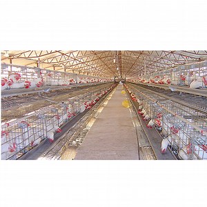 [Hot Item] Large Span Prefabricated Industrial Design Poultry Farm House for Sale