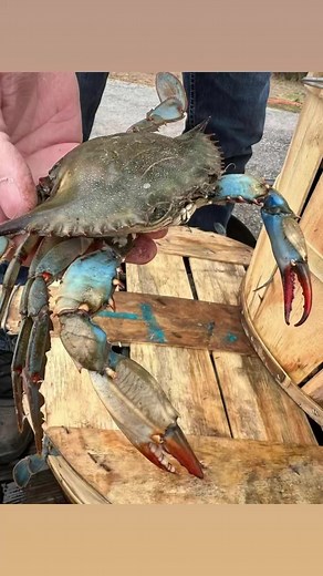 We will be open tomorrow for all your Valentine needs from 1:00-7:00...