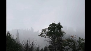 7.4K views · 393 reactions | Sasquatch Eating Aspen Leaves in a Place Called Weird Beastly Creature #yeti #monster #creature #sasquatch #bigfoot | Rocky Mountain Sasquatch Organization | Facebook