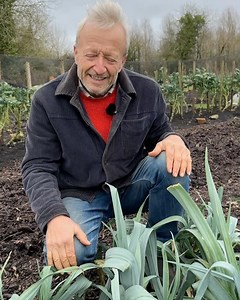 Charles Dowding No Dig Gardening on Reels
