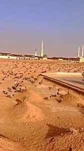 100K views · 7.7K reactions | Aye Kash mai bann jau madine ka musafir 鹿 | Meri Duniya | Facebook