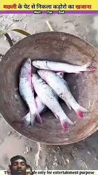 मछली का खजाना 🤯 ~ mini wood toy- woodworking art skil/wood hand #shortsa̤m̤z̤o̤n̤e̤6802