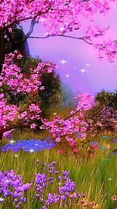 2.7K views · 60 reactions |  DENNÁ MODLITBA  Viem, že som tvorcom...