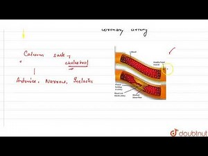 (i) How is cigarette smoking harmful for one's heart ? (ii) What is angina pectoris ? | 11 | BOD...