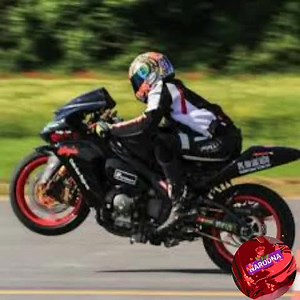 Divlje Jagode-motori | Narodna u srcu