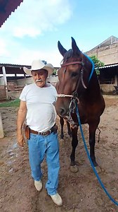 180K views · 6.2K reactions | Como poner el filete Poblano para colgar su caballo y no se pegue al estar amarrado | Joaquin Tello | Facebook