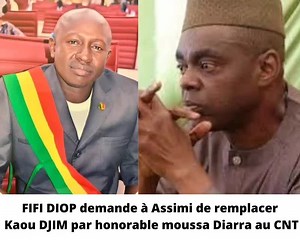 FIFI DIOP demande au Président Assimi de remplacer Kaou DJIM par honorable moussa Diarra au CNT. | Fier D Etre Malien et Africain.