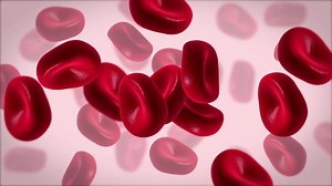 Red blood cells animation.