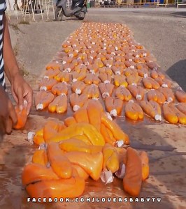 7K views · 57 reactions | Amazing Mullet Roe Harvesting and Mullet Fish Recipes That You’ll Fall in Love With | Sista Njie | Facebook