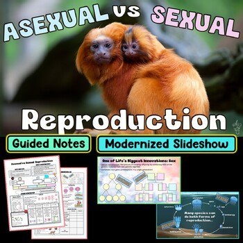 Asexual vs Sexual Reproduction PowerPoint Slideshow   Guided Notes   Study Guide