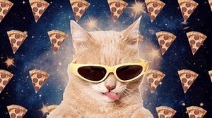 Mirale a este gato… Muy bien… Ahora, a la cuenta de tres vas a querer comer Sammy’s. | Sammys Express Pizza