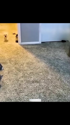 35K views · 72 reactions | Simaran on Reels | Facebook