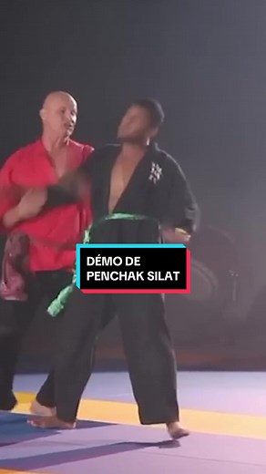 Démonstration de Penchak Silat et Formation Complète