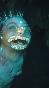 Fisherman's Shocking Footage Of Israeli Mermaids #mermaid #mermaids #Isreal | Most Amazing Top 10