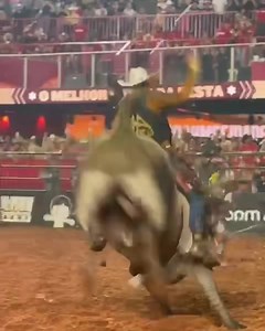 2K views · 19 reactions | Saludos a nuestro buen amigo alvaroalvarezaguilar , uno de los mejores jinetes de toros del mundo, orgullosamente mexicano . Digno representante mexicano en Barretos, Brasil festadopeaodebarretos_oficial; uno de los mejores rodeos del mundo. Gracias por tu esfuerzo y entrega; eres un orgullo nacional. Friesland México/ Rancho La Coneja “El caballo de tus sueños hasta las puertas de tu rancho” | Frisones Friesland México | Facebook