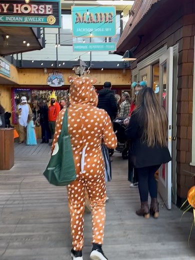 MADE Jackson Hole on Reels