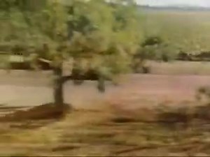 #80s, #vintage, #retro, #nostalgia , #1980s, #80snostalgia, #1980sfashion, #throwback, #80smusic, #vintage, #80smemories, #neon, #totallyrad, #oldschool, | The 80s