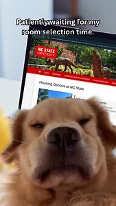 Room Selection is here! From Feb. 12 through Feb. 21, if you completed a Room Selection Application, you will have an opportunity to select your 2025-26 space. If you have questions about your Selection Tine or how to select a space, please email housing@ncsu.edu. #RoomSelection #LiveAndLearn If you missed the Room Selection Application deadline, you can apply to live on campus Feb. 24. We will also have an off-campus Housing Fair Mar. 18 for anyone still looking for housing for the upcoming aca