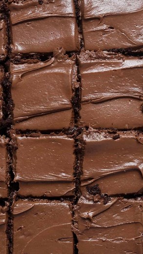 @organicallyaddison Gluten Free Chocolate Cake! This is the BEST and easiest cake you’ll ever make — just one mixing bowl, one layer of cake and one thick smear of chocolate frosting. Nut Free and Gluten Free! . Click the link in my bio or go to www.organicallyaddison.com and search “Chocolate Cake” for the full recipe! . Ingredients: ▢ olive oil ▢ sugar ▢ vanilla extract ▢ eggs ▢ milk ▢ gluten free flour ▢ cocoa powder ▢ sea salt ▢ baking soda ▢ chocolate frosting | Organically Addison