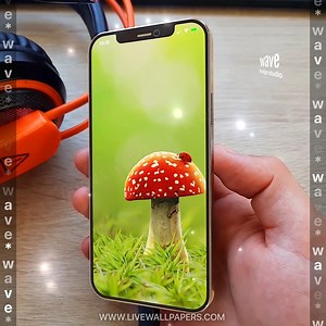 Sometimes a tiny but vivid detail can cheer you up a bit. Like this #cute ladybug that gives life to your screen with some spring vibes. Search for “ladybug” on Wave Live Wallpapers  www.livewallpapers.com  to download the app you need from the Play Store or Apple Store. Be different, be cool, be #wavesome!朗 #ladybug #springvibes #springdays #mushroomsofinstagram #lilvewallpaper #backgroundart | Wave Keyboard | Facebook