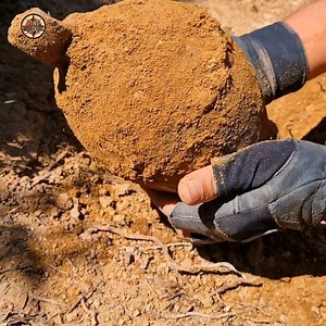 38K views · 937 reactions | #treasure#treasurehunt#metaldetector | Last discovery | Facebook