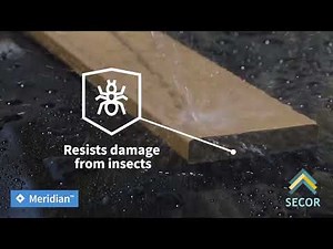 MoistureShield Meridian Decking