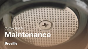 Tutorials - How to clean the shower screen | the Bambino® Plus | Breville