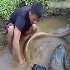 1.7M views · 10K reactions | ဒီကိရိယာနဲ့ ငါးဖမ်းရတာ လွယ်ကူတယ် | A Lin | Facebook