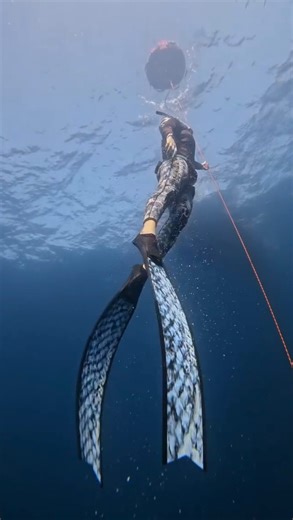 Found in the deep 🙌 . . . 🧜‍♀️ @daly_fit Cred. 📷 @freedive.dubai #spierre #freedivedubai #freediving #apnea #girlsthatfreedive #apnea | Spierre