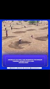 Arusha's Zai Pits: The Ingenious Technique Turning Deserts into Lush Grasslands . . #trending #agriculture | Super FM 96.3