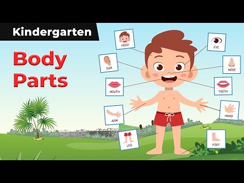 Body Parts - Head, Eye, Nose, Ear, Arm, Leg, Lips, Hand, Foot, Fingers, Toe, Thumb | Kindergarten