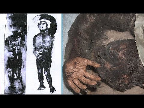 5 Strange Creatures Found Frozen in Ice