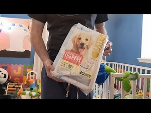 Turning a doggy diaper into an adult diaper booster to save money on incontinence supplies