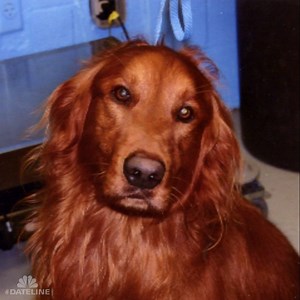 Friday night on a Dateline classic at 9/8c… | Dateline NBC