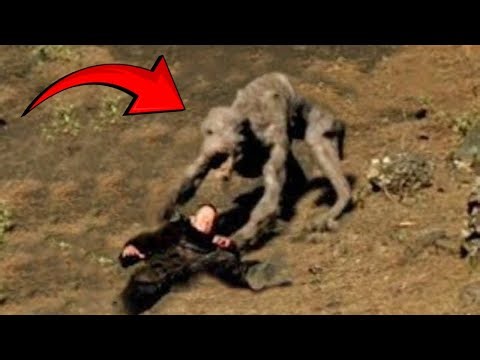 Creepiest Compilation Of Cryptid Encounters that Shocked the Whole World!