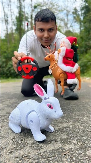 Rc Santa Claus Vs Remote Control Rabbit Unboxing 🐇