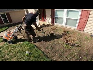 Harbor Freight Greenwood Propane Torch, Chemical Free Flower Bed Weed Control